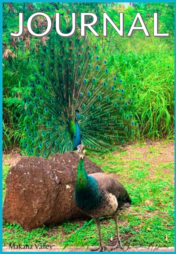 Journal: Peacocks